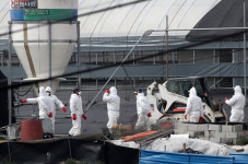 장성 종오리 농장 고병원성 AI 확진…농장서 9번째 발생