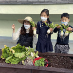 동구 평생학습관, 배움‧나눔의 도시농업 체험장이 되다