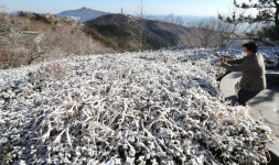 [포토뉴스] 부산 황령산 봉수대에 쌓인 눈