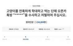 [SNS:판] 태워 죽이며 낄낄…고양이 n번방 엄벌 靑 청원에 15만명 동의