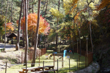 부산항 북항 야영장에 이것까지? 반려동물 놀이터 조성