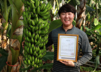 산청산 바나나, 우리나라 유일 유기농 인증을 받았다고?