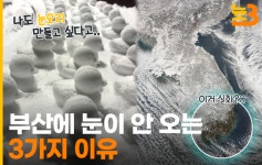 [늇쓰리]전국에 눈 쏟아져도, 부산엔 눈이 안오는 이유는?