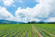 농식품부 “농지원부 일제점검 올해말까지 마무리…총 141만건”