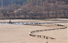 경북 영주 무섬마을 강도 굽이돌고 다리도 굽이도는 물돌이 마을
