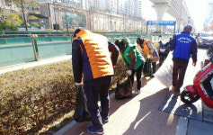 영선1동, 설 맞이 도시환경정비 실시
