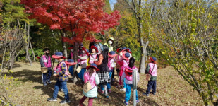 창원시, 유아숲체험원 체험프로그램 운영 시작