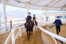 남해에 ‘선진국형 스포츠클럽’ 두둥실