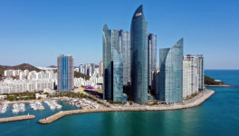 치솟는 ‘커튼 월’, 유사 소송에 영향 줄 듯