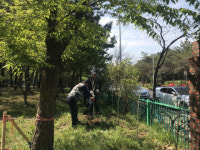 대한민국 상이군경회 부산북구지회, 표창 수상