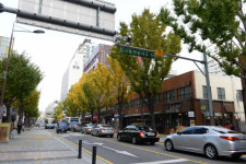 부산진구, 중앙대로 BRT 공사에 따른 우회도로 확보로 시민불편 최소화