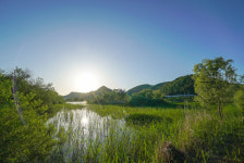 김해 화포천습지생태공원, ‘봄시즌 비대면 안심관광지 25선’ 선정