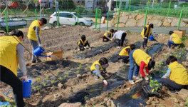 부산 북구 화명2동, ‘치유텃밭’ 운영