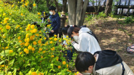 삼락생태공원&사상마운틴 「자연생태 체험학교」로 등교하자~