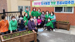 [포토뉴스] 사상구 도시농업 텃밭 조성사업