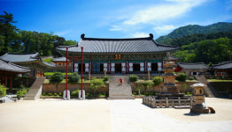 해인총림, 5월 3일 혜암대종사 탄신 101주년 다례법회