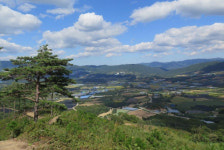 산림청, 지리산둘레길·대관령숲길 등 4곳 국가숲길로 지정