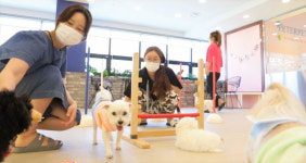 부산 북구, “피터펫 애견카페로 놀러오세요”
