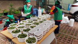 괘법동 새마을부녀회, 사랑의 열무김치 나눔 행사 펼쳐