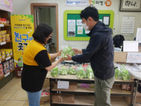 협동조합 매일매일즐거워, 샐러드 야채 50묶음 부산진구에 기탁
