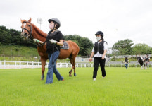 ‘말이 주는 힐링’ 위기청소년 반사회적 성향도 개선…HETI 서울대회 주목