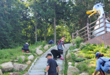 북구 만덕1동 오리마을 번영회, 초화 식재