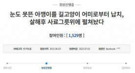 새끼고양이 신체 훼손해 사료 그릇에 엄벌 촉구 靑 청원