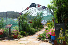 여긴 몰랐지, “장유 대청계곡 소담정원으로 놀러오세요”