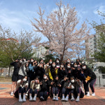 “매년 봄이면 벚꽃 대궐” 아름다운 경남여고 교정