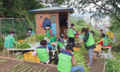 서구 아미동, 행복농장 농작물 수확 및 나눔