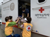 서구 서대신1동, 거동불편 취약계층 위한 세탁 봉사활동