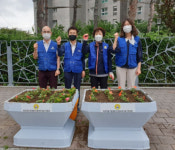 광안2동 바르게살기운동위원회, 초화식재 및 환경정비 활동 실시