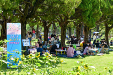 부산진구, 제30회 초·중·고생 그림그리기 및 문학백일장 개최