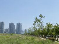 양산 ‘도시 바람길 숲’ 2단계 착수