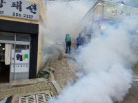 서구 서대신4동 새마을협의회, 해충 방역활동 실시