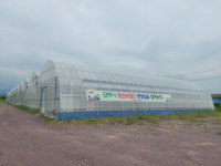 김해시, 청년농업인 경영실습 임대농장 2개소 준공