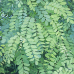 [문화의 향기] 부산권 전시