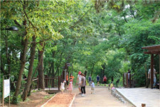 ‘분성산 생태숲’ 여름 숲 놀이학교 운영