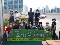 해운대구 좌2동 도시농부 텃밭채소 나눔