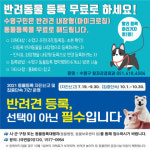 수영구, 반려동물 자진신고 기간 운영