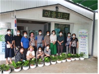 연제구, 물만골 학습마을 반려식물 키우기 운영