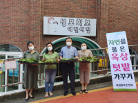 부산 중구 대청동 주민센터 옥상텃밭 친환경 채소 나눔 전달