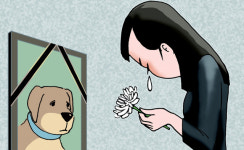 [밀물썰물] 개팔자 상팔자?