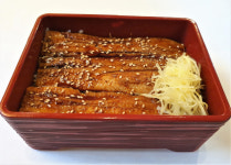 일식 더한 특별한 맛 동해남부선
