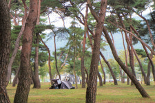 “해바라기와 놀고 소나무숲에 눕고 절벽 위 정자서 가을을 낚았다”…밀양 3색 여행