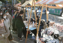 한국예술공예회구혜인공방 | [포토뉴스] 수공예품 구경하세요