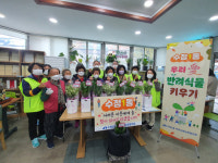 [포토뉴스] 수정1동, 우리 愛 반려식물 키우기 진행