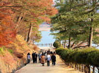 안동호 풍경 골목에 그린 예술의 끼가 남다른 마을-예끼 마을과 도산서원