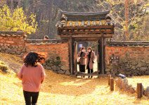 “지금이 노랗다”…밀양 금시당·영남루 늦가을 여행