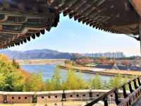 “지금이 노랗다”…밀양 금시당·영남루 늦가을 여행